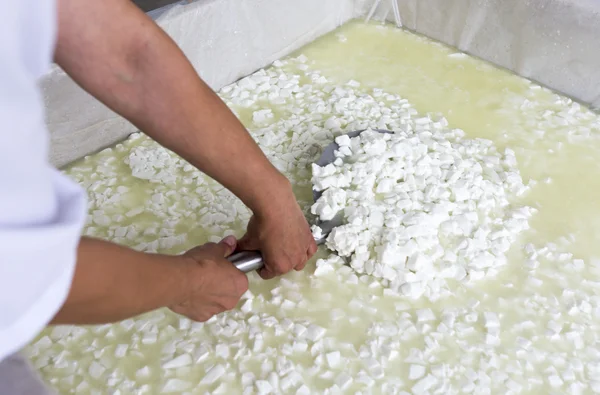 White Bulgarian cheese — Stock Photo, Image