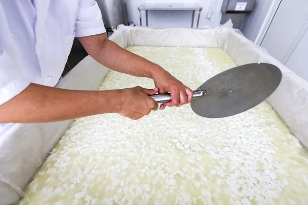 White Bulgarian cheese — Stock Photo, Image