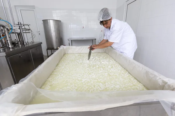 Käsearbeiter in einer Käserei — Stockfoto