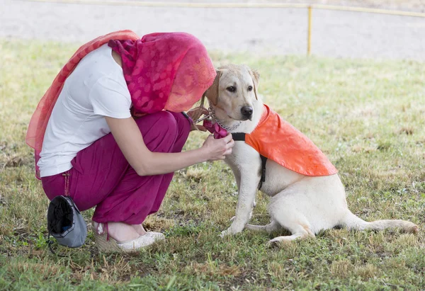 Trainer met labrador retriever geleidehond — Stockfoto