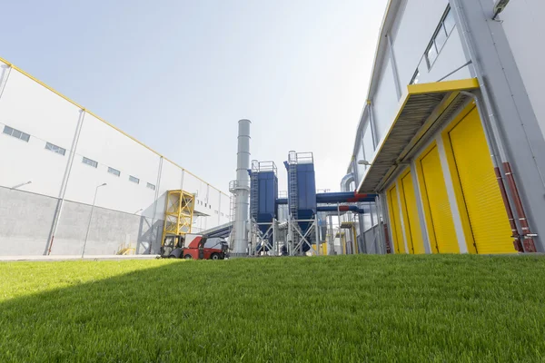 Waste plant green grass — Stock Photo, Image