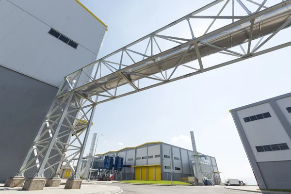 Waste plant outside — Stock Photo, Image