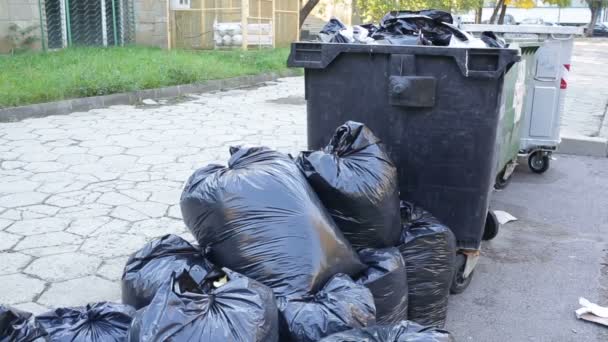 Bolsas de basura negro — Vídeo de stock