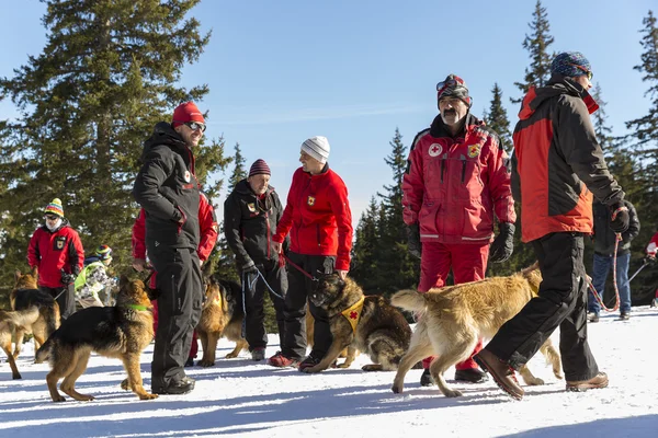 Kızıl Haç kurtarıcıları onların köpekleri ile — Stok fotoğraf