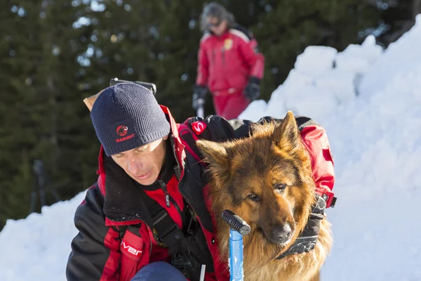 Kızıl Haç kurtarıcı köpeğiyle — Stok fotoğraf