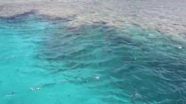 Teknenin güvertesinden Kızıl Deniz 'in berrak turkuaz suyuna ve mercan resiflerine doğru hafif bir esinti suyun yüzeyinde dalgalar oluşturur.