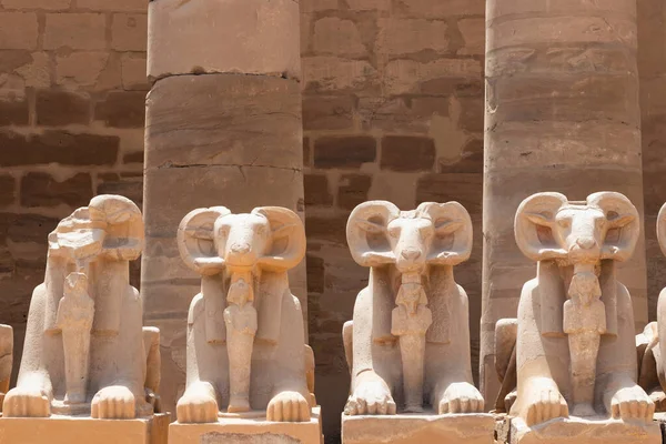 Karnak tapınağındaki kriyosinks sokağının bir parçası, antik nekropolleri korumak için tasarlanmış, koç başlı ve aslan gövdeli efsanevi yaratıkların heykelleri..