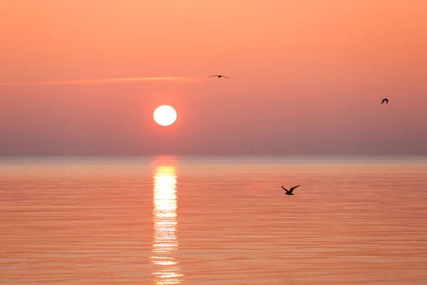 Gouden zonsopgang boven de zee — Stockfoto