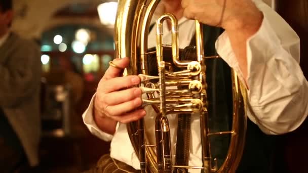 Folkmuzikanten afspelen muziek in het Hofbräuhaus — Stockvideo