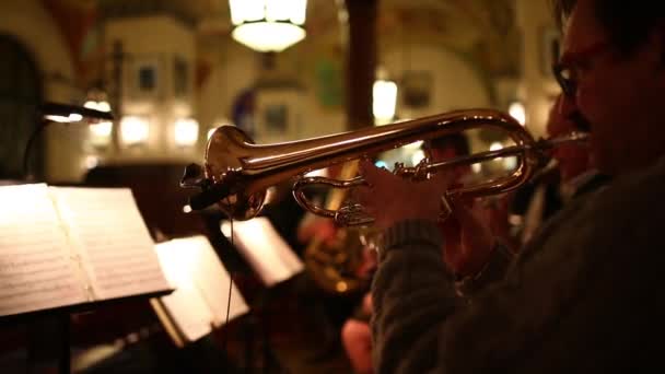 Músicos populares tocam música no Hofbrauhaus — Vídeo de Stock