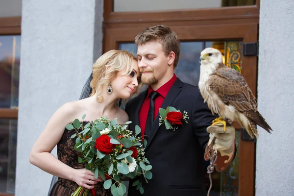 Casal de noivas com falcão — Fotografia de Stock