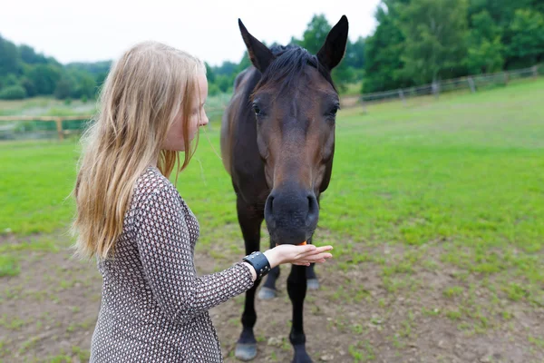 Girl feeding the horse — Stock Photo, Image