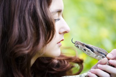 Yaban hayatı ile insan iletişim