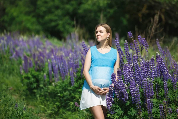 Pregnant woman in the lupins — Stock Photo, Image