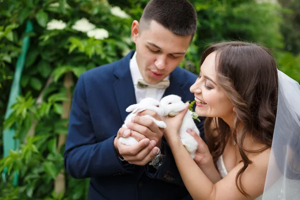 Wedding couple with two small rabbits — Stock Photo, Image