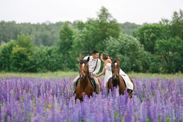Jazda konna nowożeńcy na polu — Zdjęcie stockowe