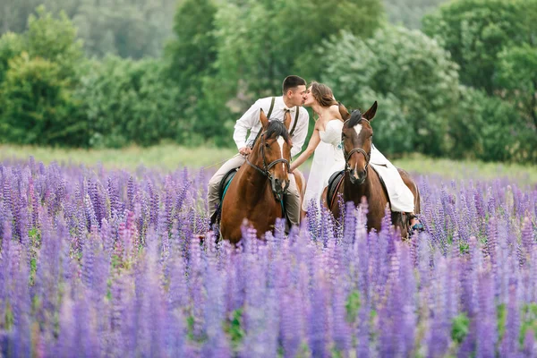 Reiten der Frischvermählten auf dem Feld — Stockfoto