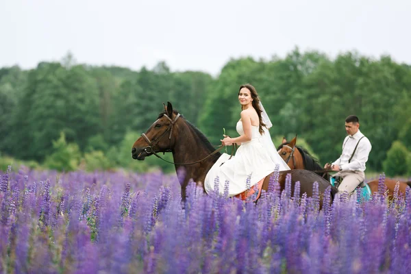 Montando os recém-casados no campo — Fotografia de Stock
