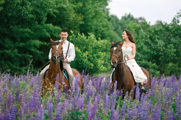 Reiten der Frischvermählten auf dem Feld — Stockfoto