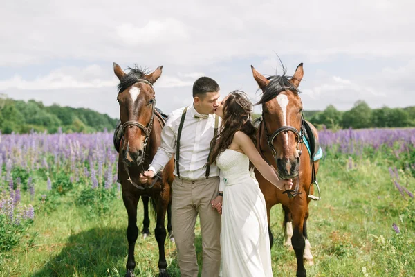 Happy wedding couple with horses — Stock Photo, Image