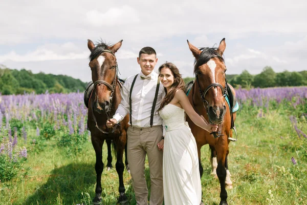 Счастливая свадебная пара с лошадьми — стоковое фото