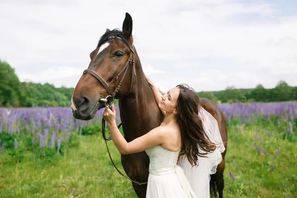 Die Braut mit Pferd auf dem Feld — Stockfoto