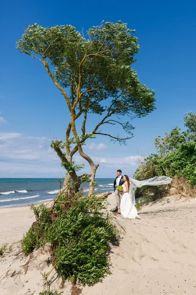 Cheerful wedding couple on the beach — Stock Photo, Image