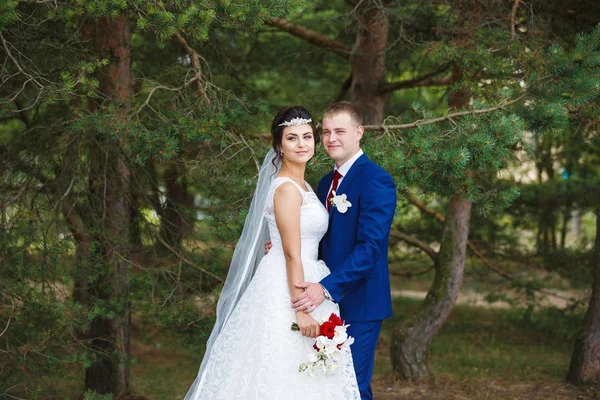 Весільна пара в сосновому лісі — стокове фото