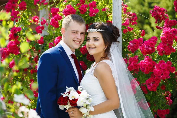 Matrimonio coppia in un giardino — Foto Stock