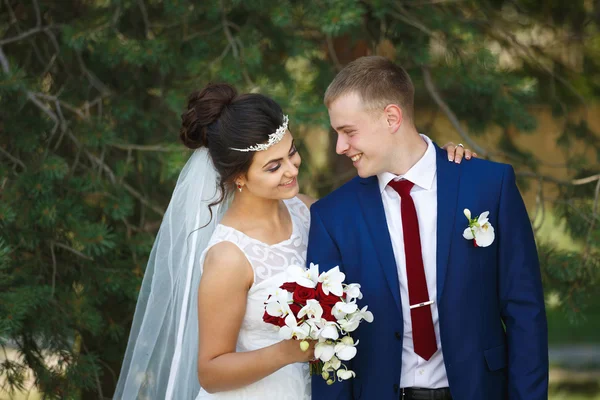 Pareja de bodas en el bosque de pinos — Foto de Stock