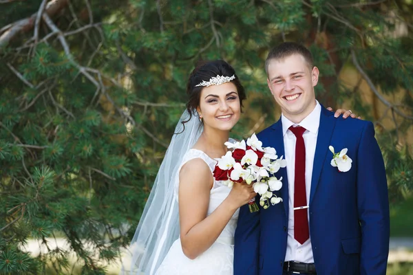 Para ślub w las sosnowy — Zdjęcie stockowe