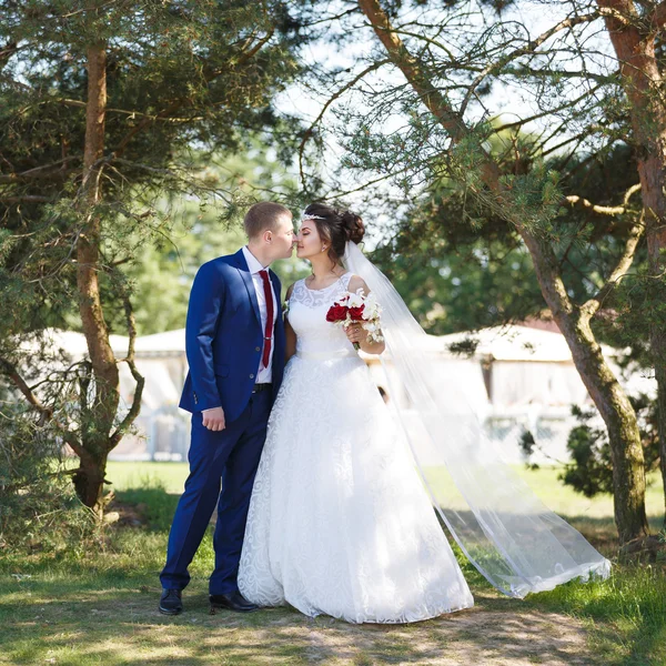 Wedding couple in the garden — Stock Photo, Image