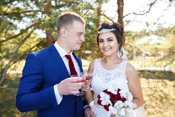 Para ślub z okularami winorośli — Zdjęcie stockowe