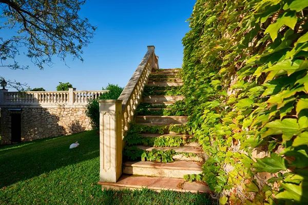 Luxus-Haus auf Mallorca — Stockfoto