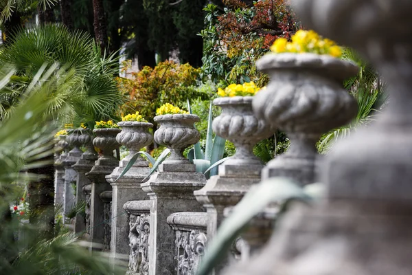 Bloembedden in een tuin — Stockfoto