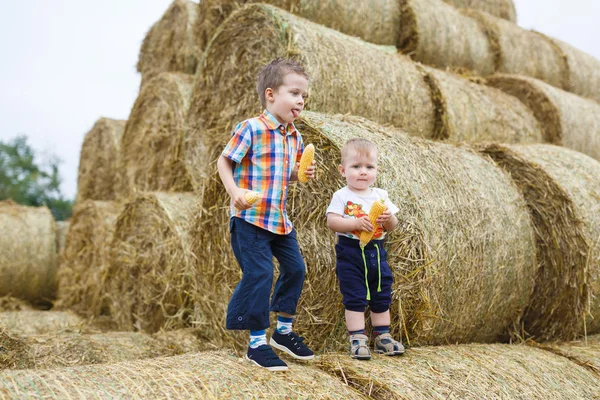 Dos hermanos en un campo — Foto de Stock