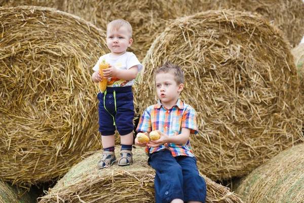 Dos hermanos en un campo — Foto de Stock