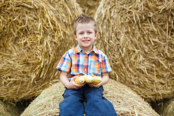 Malý chlapec v krajině — Stock fotografie