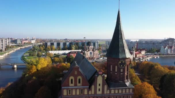 Cathedral Kaliningrad Russia Autumn Time View Drone — Stock Video