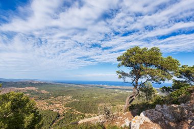 Monte Sant Salvador, Mallorca görüntülemek