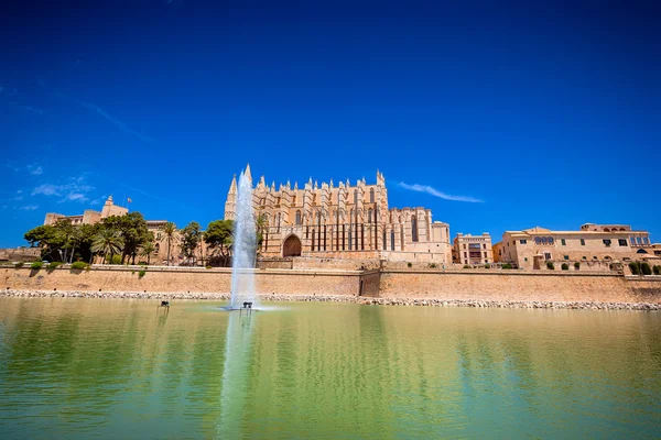 La seu katedry i Almudaina w Palma de Mallorca — Zdjęcie stockowe