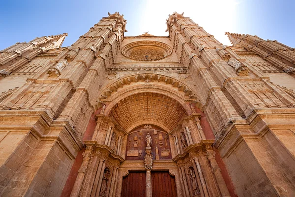 La seu katedry i Almudaina w Palma de Mallorca — Zdjęcie stockowe