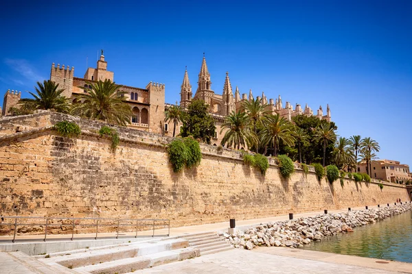 La seu katedry i Almudaina w Palma de Mallorca — Zdjęcie stockowe