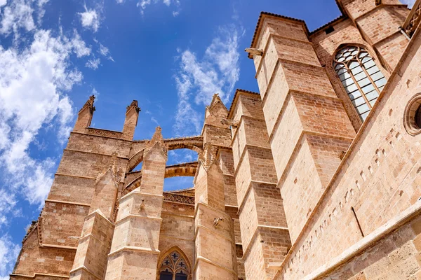 La seu katedry i Almudaina w Palma de Mallorca — Zdjęcie stockowe