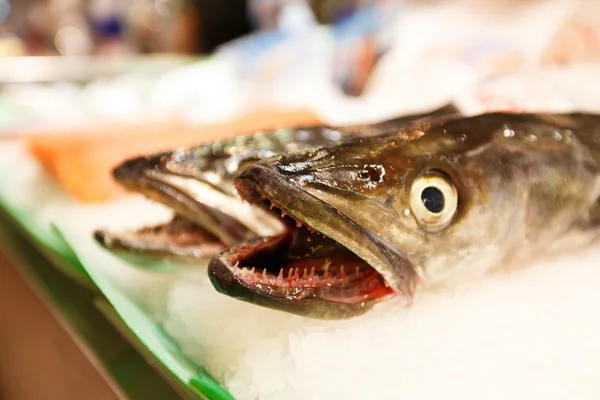 Fish market, Palma de Mallorca — Stock Photo, Image