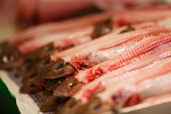 Fish market, Palma de Mallorca — Stock Photo, Image