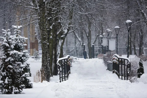 Parkway på vintern, Kaliningrad — Stockfoto