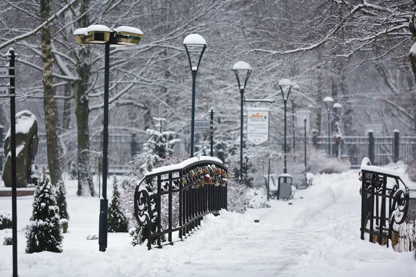 Parkway på vintern, Kaliningrad — Stockfoto