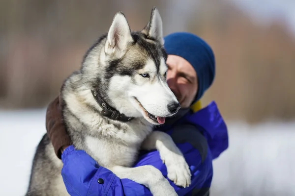 Lycklig man med en husky — Stockfoto