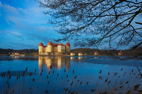 Moritzburg castle — Stock Photo, Image